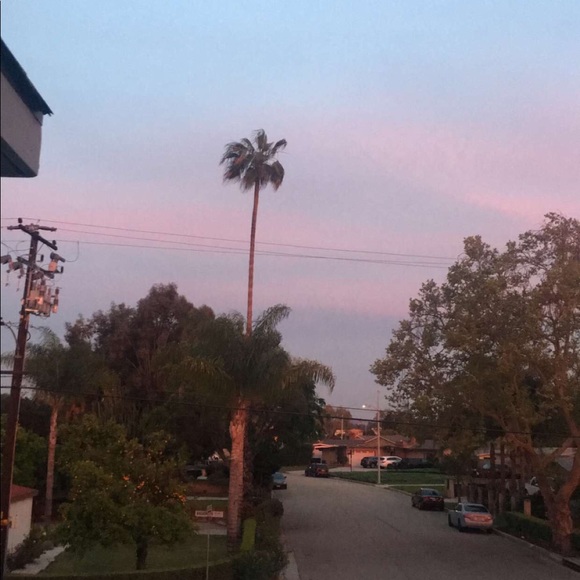 Meet Your Posher - Picture 1 of 1